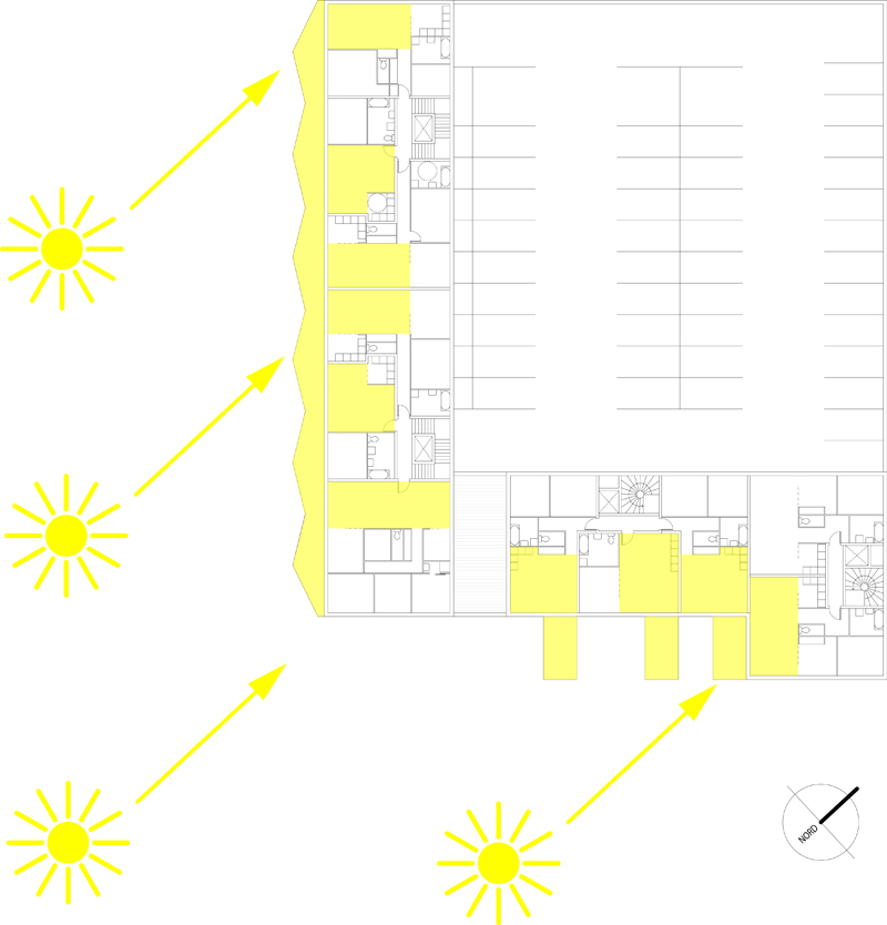09 Lille Margueritois ensoleillement
